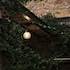 athens