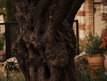 athens