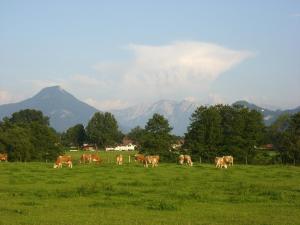 gasthaus kellerer
