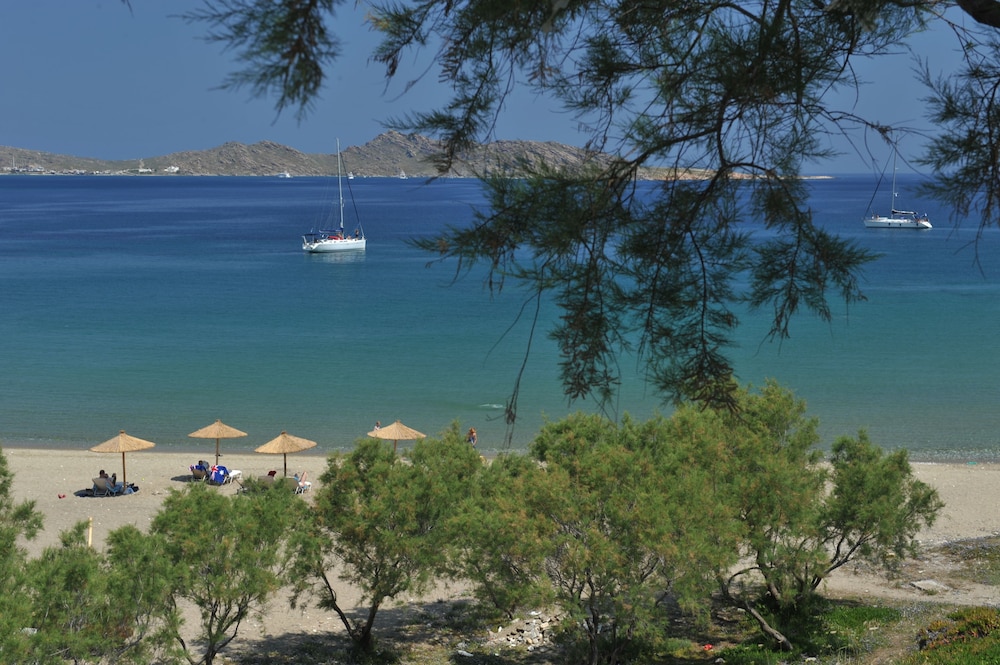 senia hotel