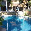 dolphinbay beachfront and dive resort