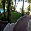 dolphinbay beachfront and dive resort