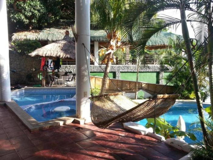 dolphinbay beachfront and dive resort