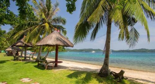 dolphinbay beachfront and dive resort