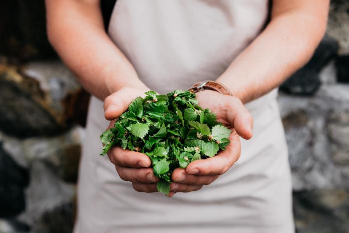 lapland hotels kilpis