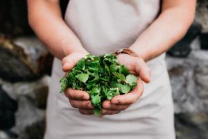 lapland hotels kilpis