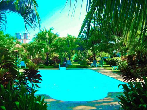 the golddiggers resort phuket