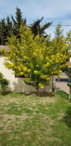 arles