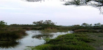 longo mai