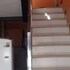 oyo 93569 fathir homestay syariah