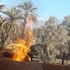 kasbah dar dmana