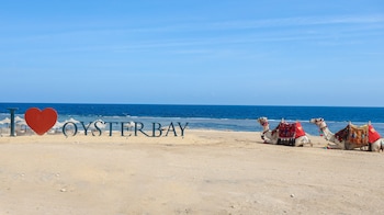 oyster bay beach suites