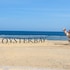 oyster bay beach suites