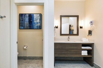 palace inn blue edgebrook