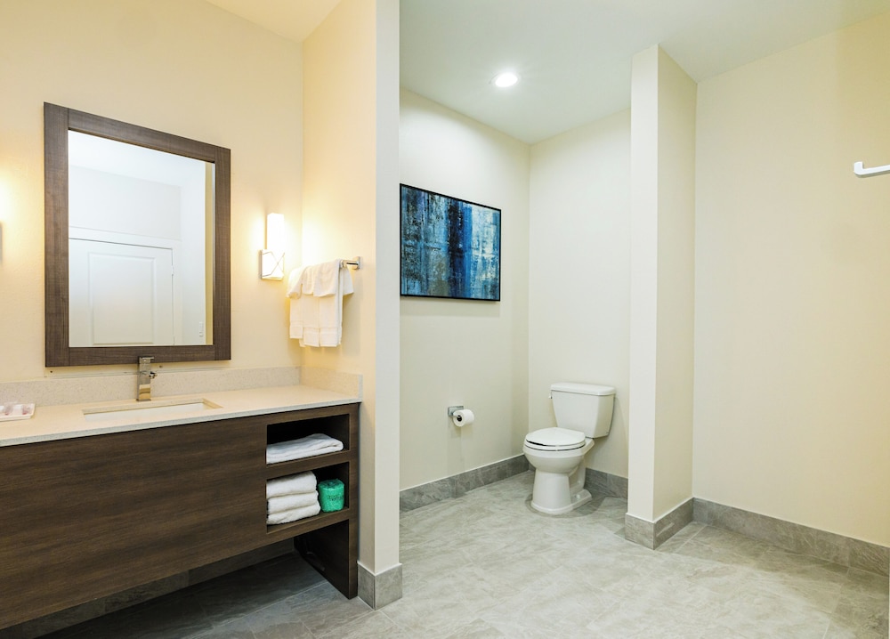 palace inn blue edgebrook