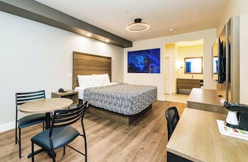 palace inn blue edgebrook