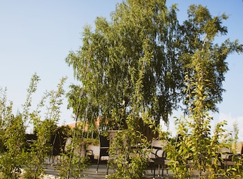 zaliasis slenis self check in hotel