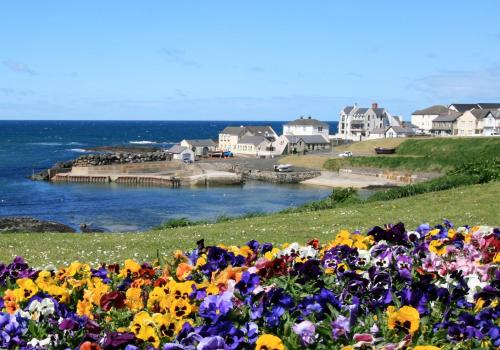 bushmills