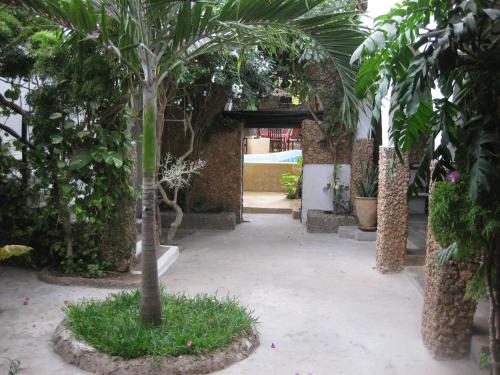 jannat house