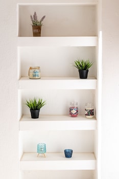 plethora homes