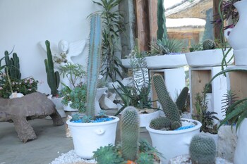 Kuriftu Resort & Spa Bishoftu,Bishoftu>>Addis Ababa,4 star