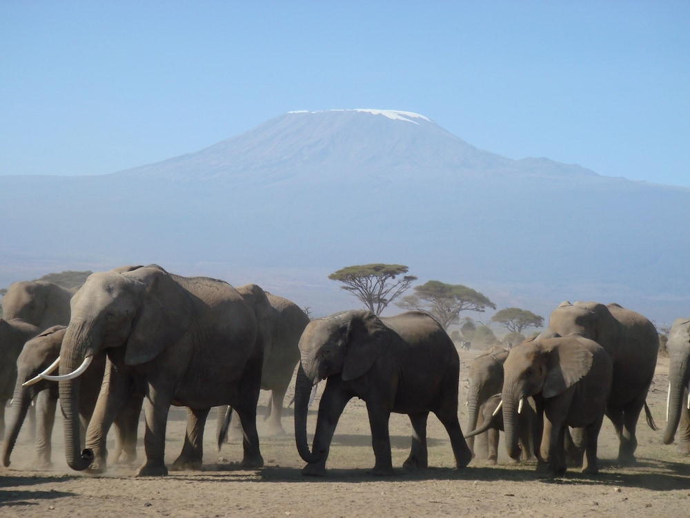 amboseli