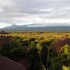 kilima safari camp