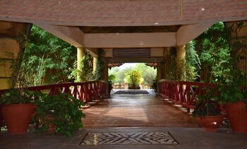 kilima safari camp