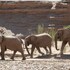 khowarib lodge