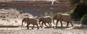 khowarib lodge
