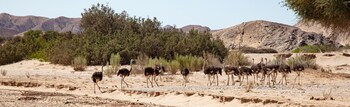 khowarib lodge