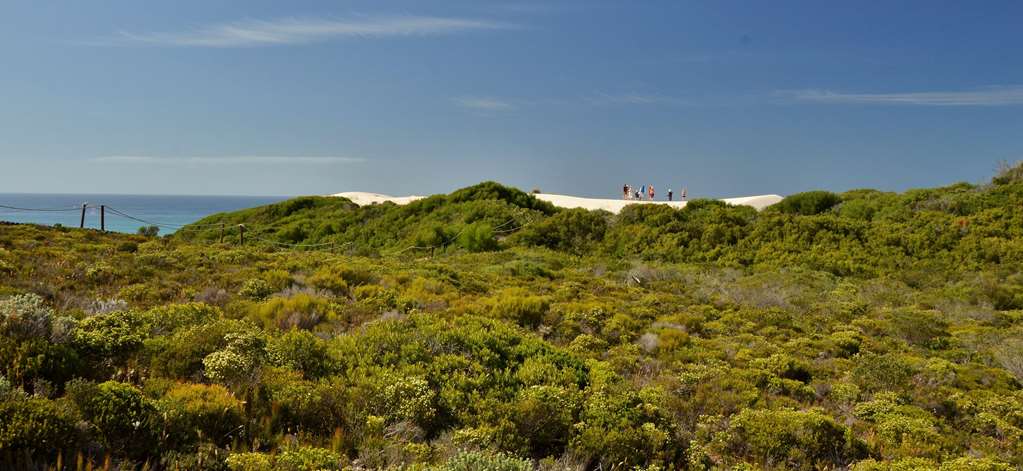 de hoop opstal houses