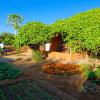damara mopane lodge
