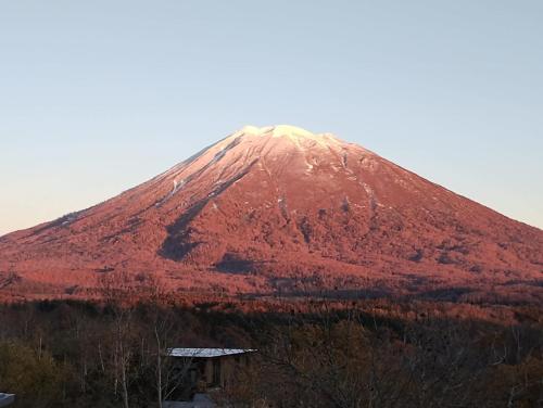 niseko