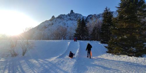 niseko
