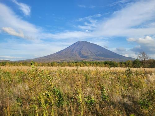 niseko