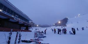 niseko