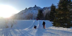 niseko