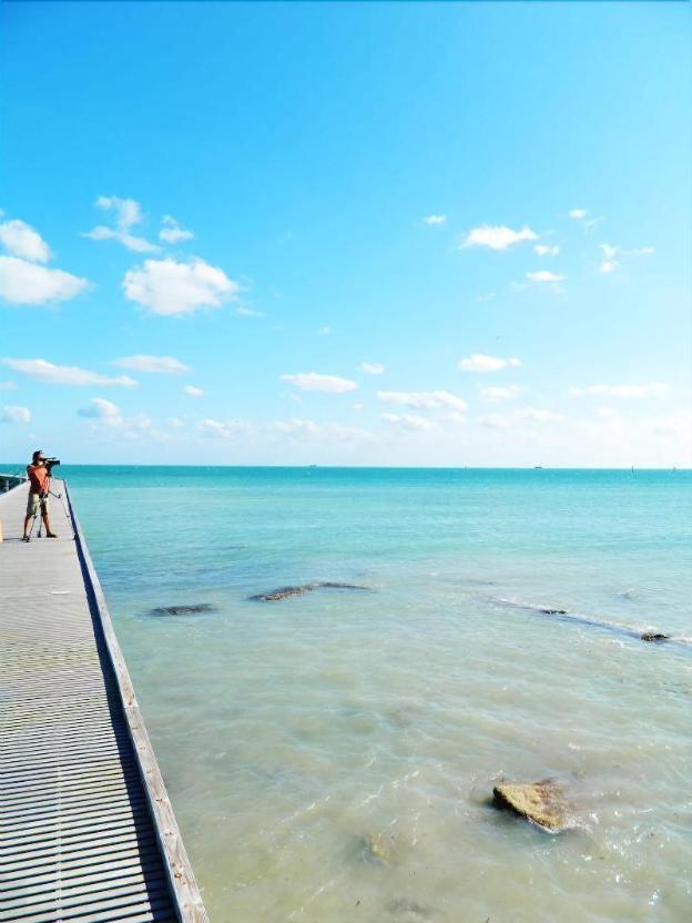 amsterdams curry mansion inn