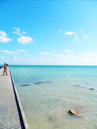 amsterdams curry mansion inn