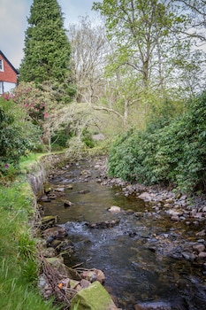 holmrook