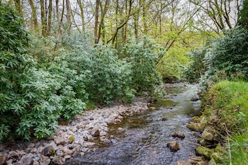 holmrook