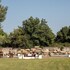 quinta do louredo
