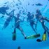 los roques