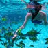 los roques