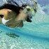 los roques