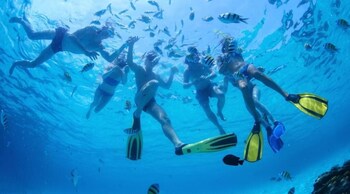 los roques