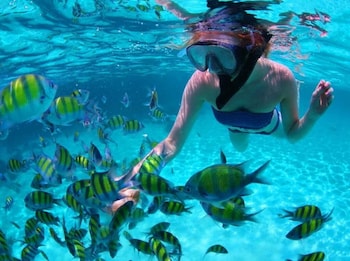 los roques