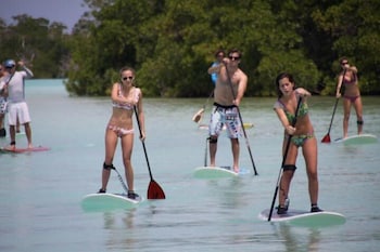 los roques