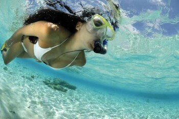 los roques